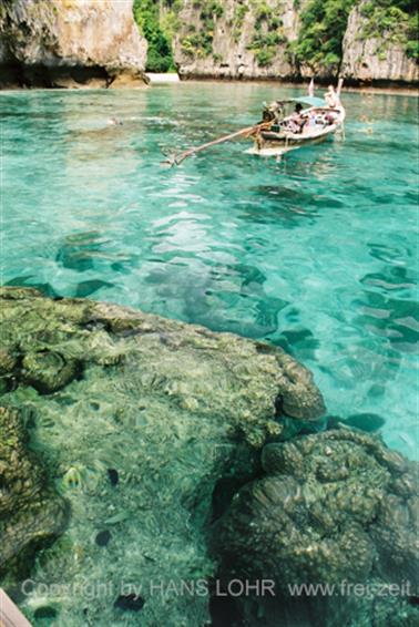 Koh Pee Pee 2000, Snorkeling excursion, F1060036_478